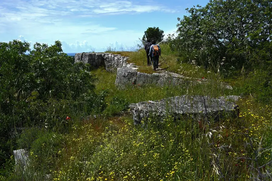 Mušalež (Croația)