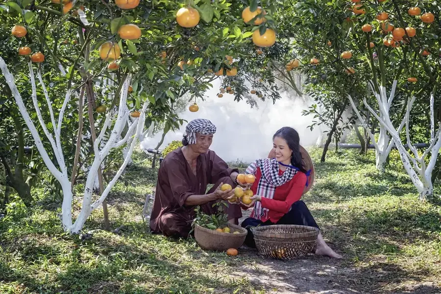 Neretva Mandarinenplantagen — Počitelj (Bosnien und Herzegowina)