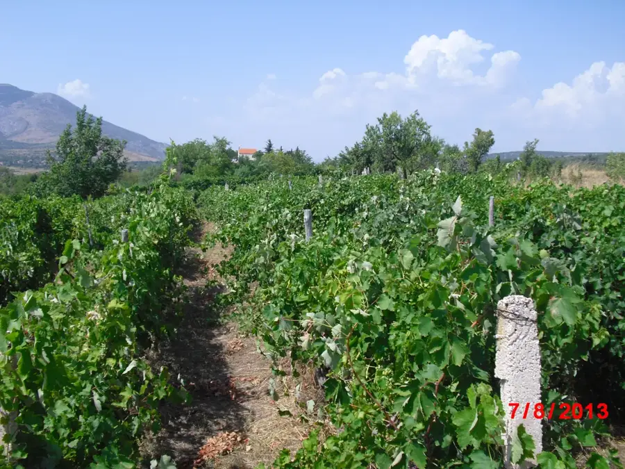 Parčić (Drniš) (Croația)