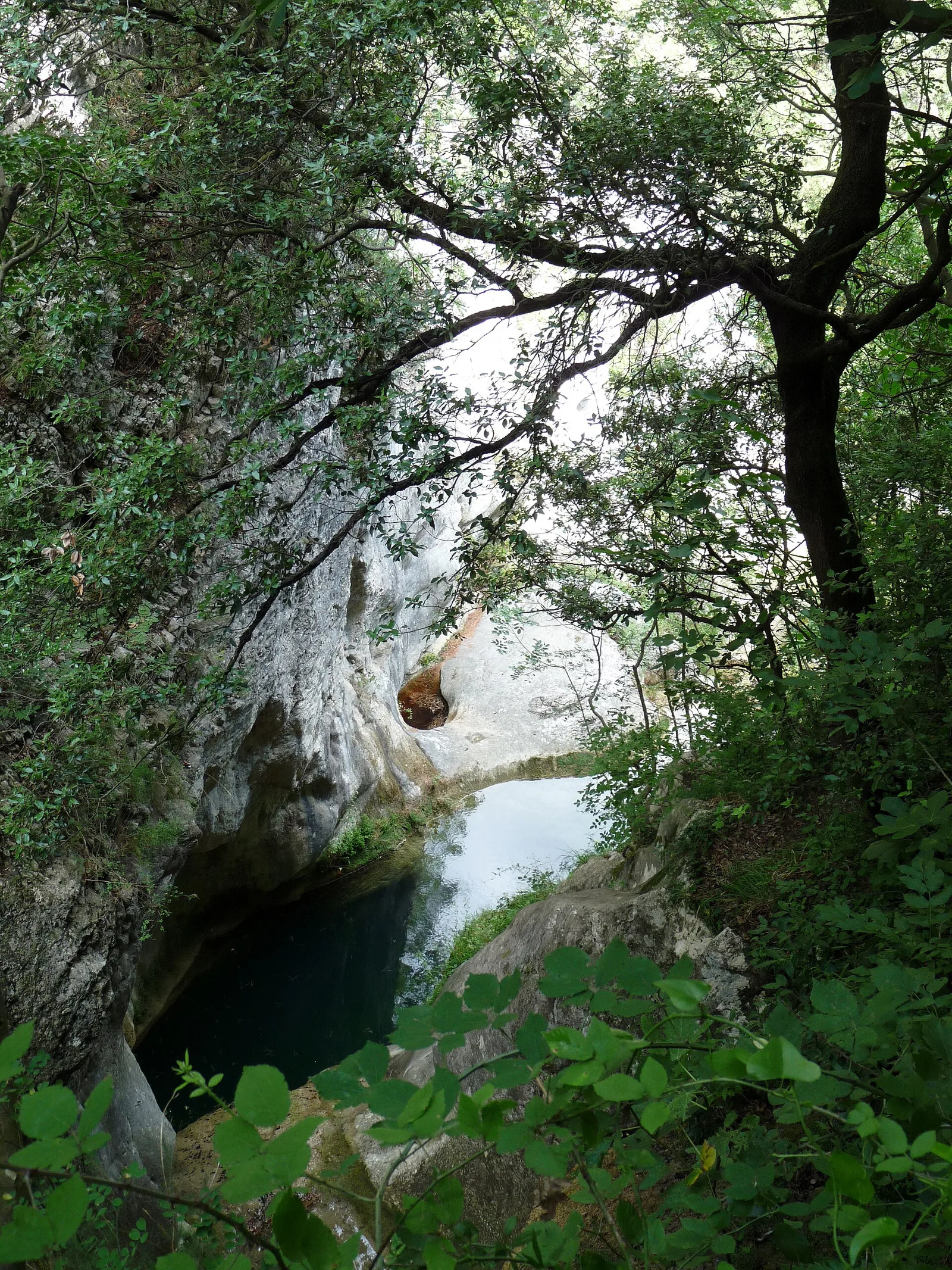 Ripenda Kras — Matulji (Horvátország)