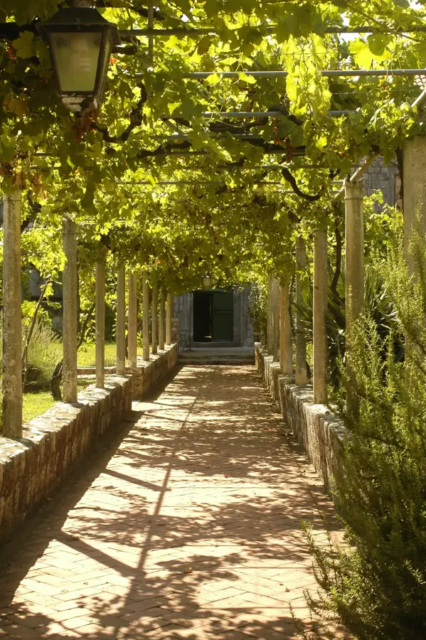 Suđurađ — Tihama-Küstenebene (Saudi-Arabien)