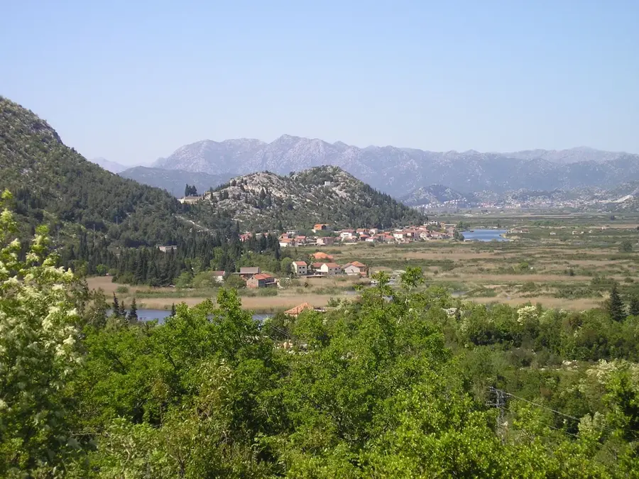 Trn (Croatia)