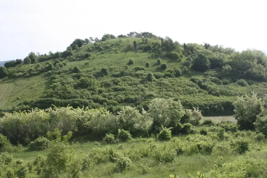 Vižinada (Horvátország)