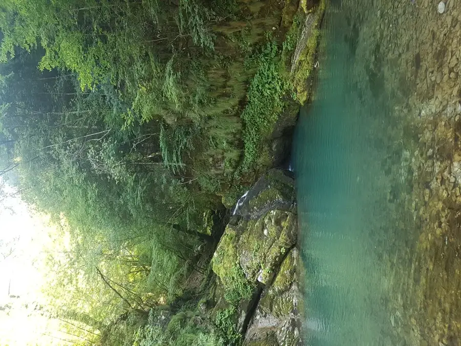 Zeleni vir