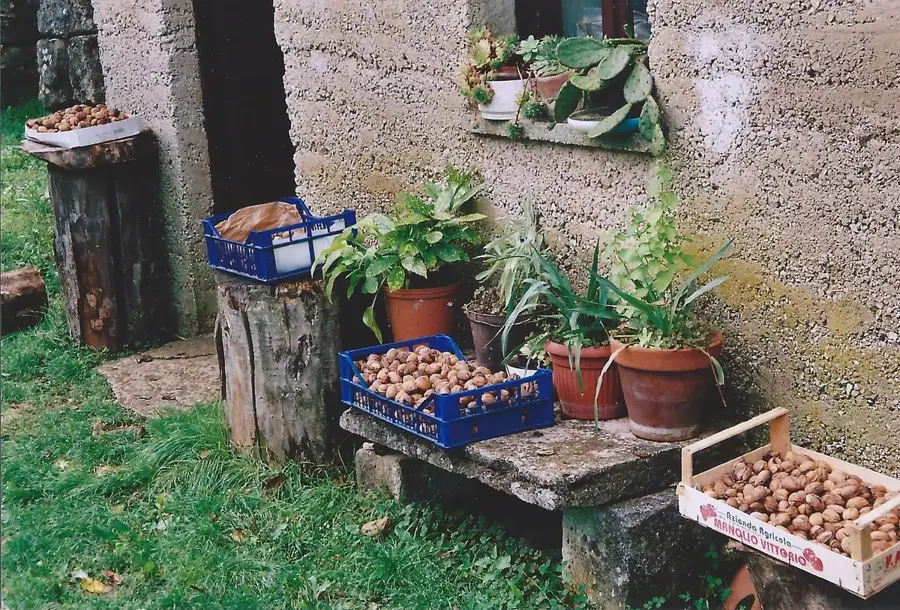 Županići (Horvátország)