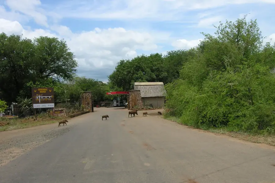 Crocodile Bridge Gate — Mount Moamba (Mosambik)