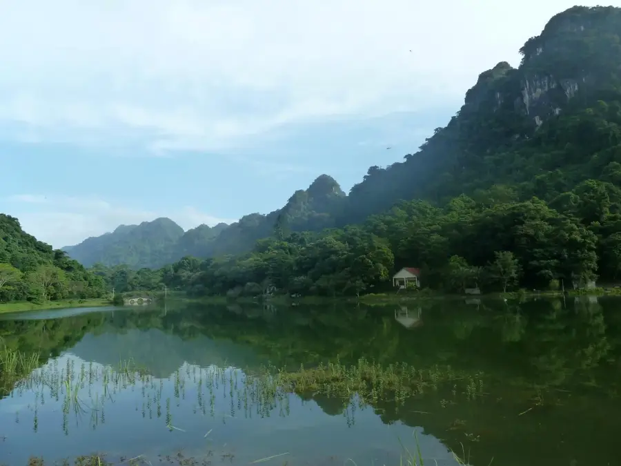 Centrul de Conservare a Țestoaselor Cúc Phương — Sam Son (Vietnam)