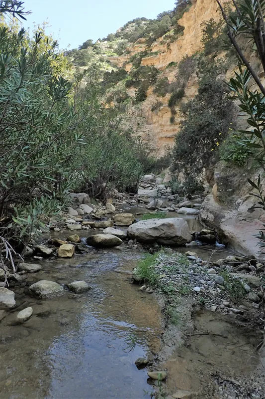 Avakas Gorge
