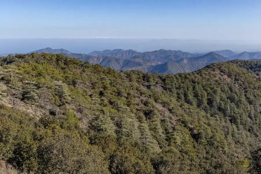 Stavros tis Psokas Forest Area — Vouni Palace (Cyprus)