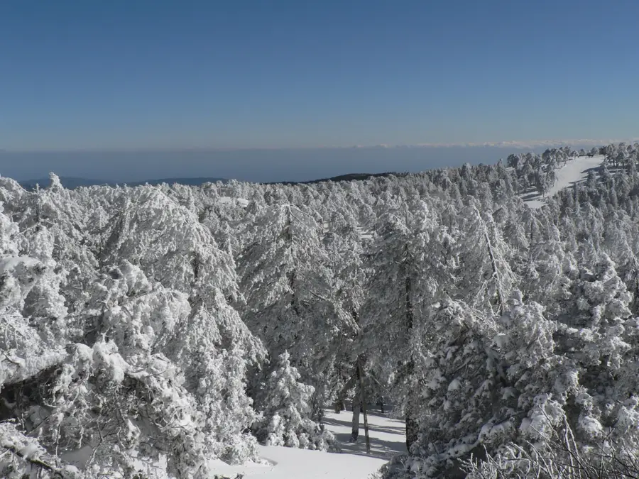 Troodos — Agios Neophytos Monastery (Cyprus)