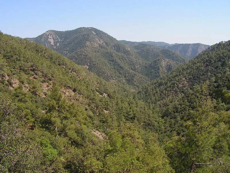 Troodos Foothills