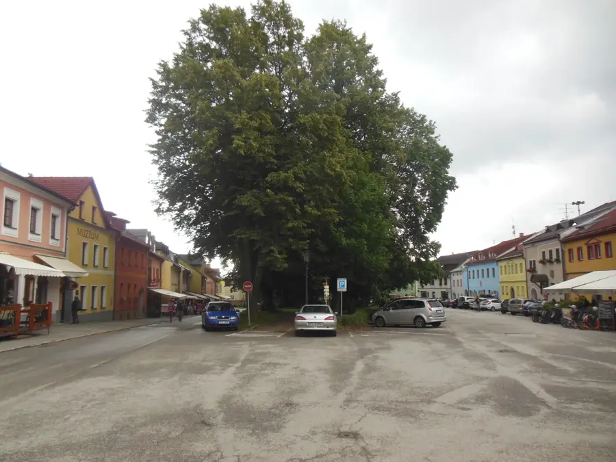 Frymburk