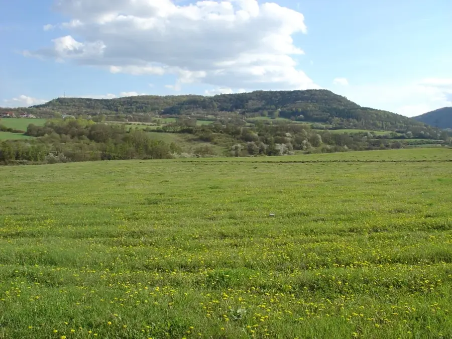 Doupov Mountains