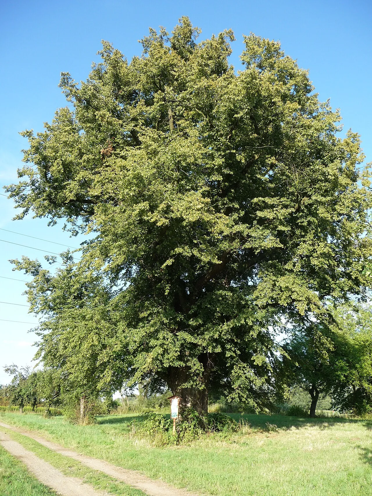 Drahlov erőd