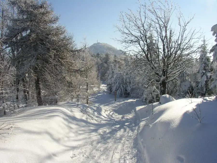 Lusatian Mountains