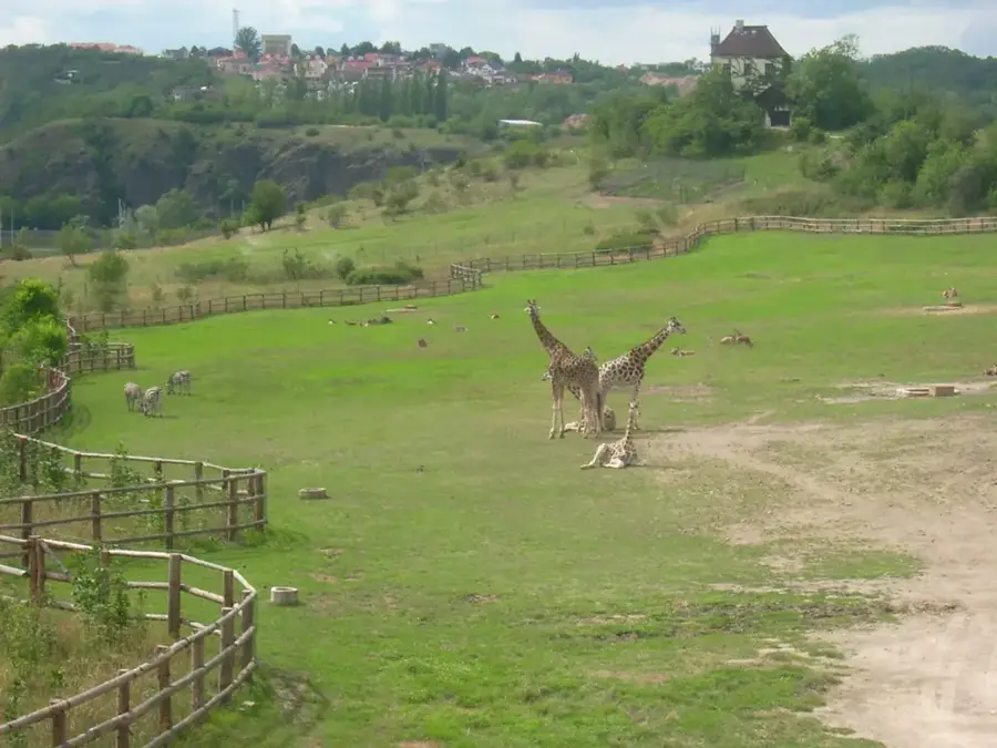 Grădina Zoologică din Praga