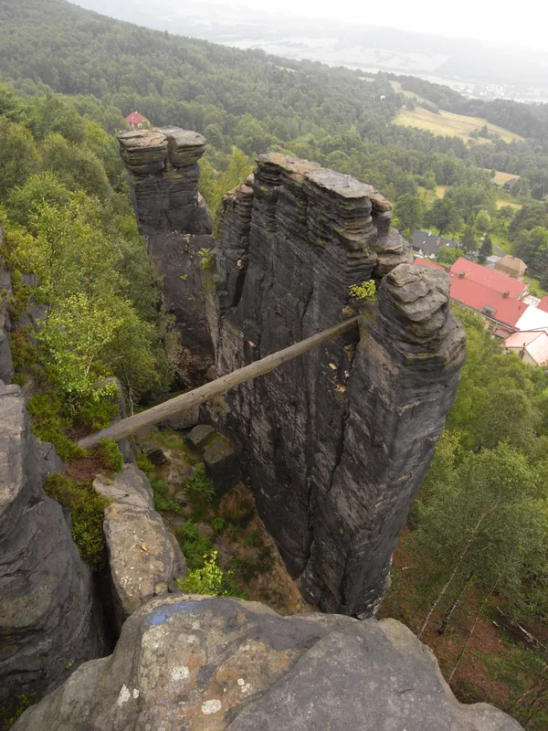 Tisa Walls