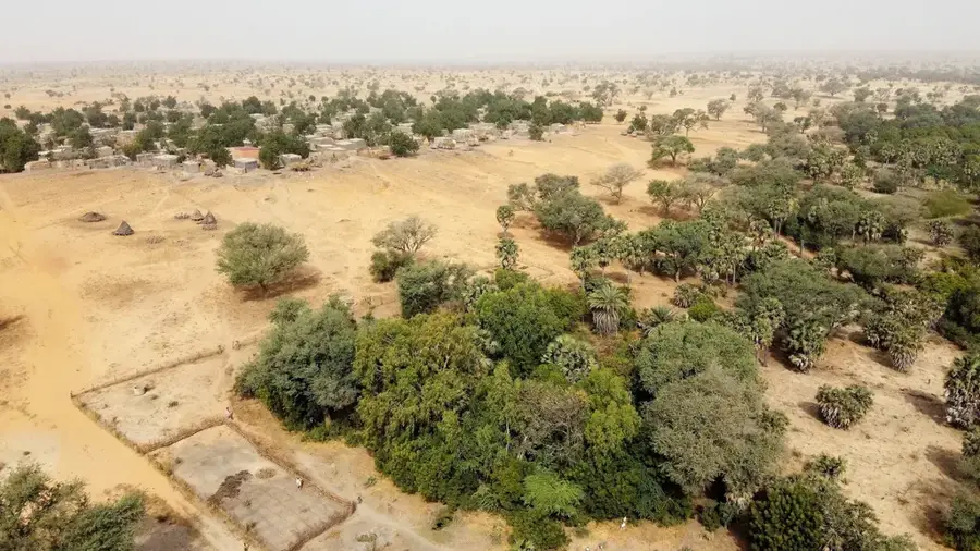 Dallol-Bosso-Talung