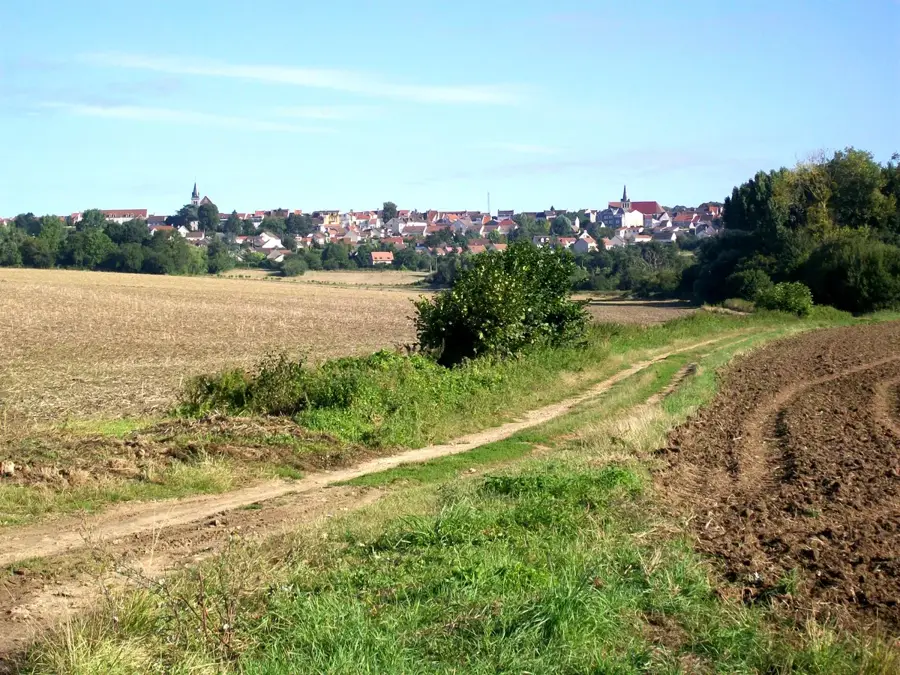 Dammartin-en-Goële – oraș