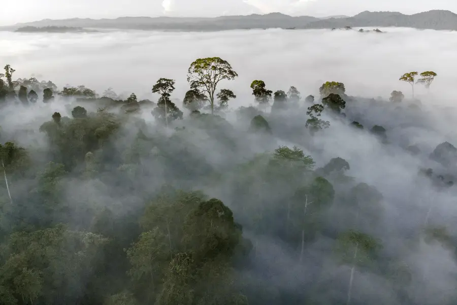 Danum Valley Conservation Area