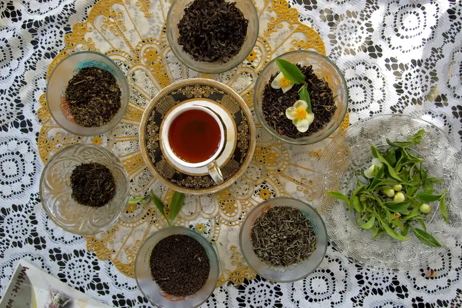 Plantațiile de ceai din Darjeeling — Mandarmani (India)