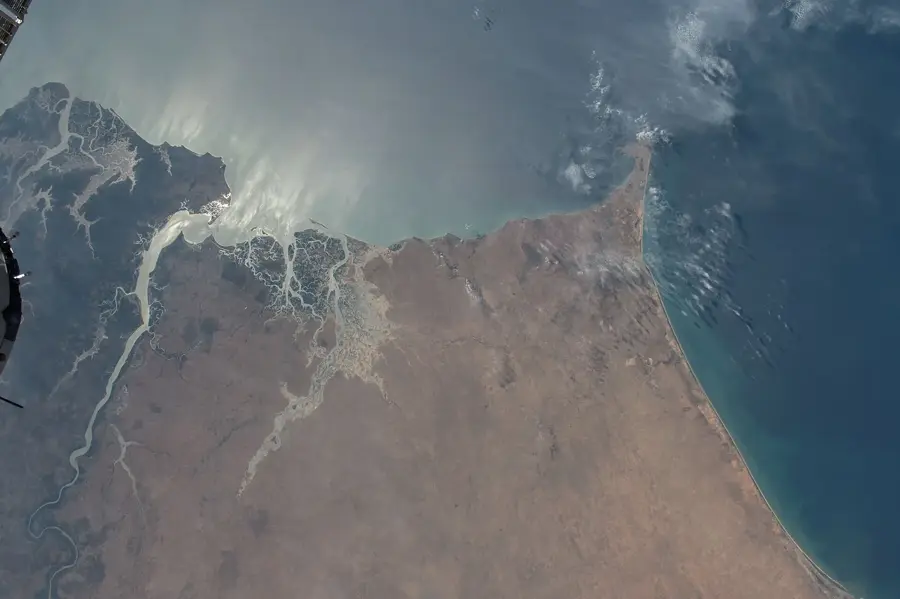 Senegal River Delta — Faidherbe Bridge (Senegal)