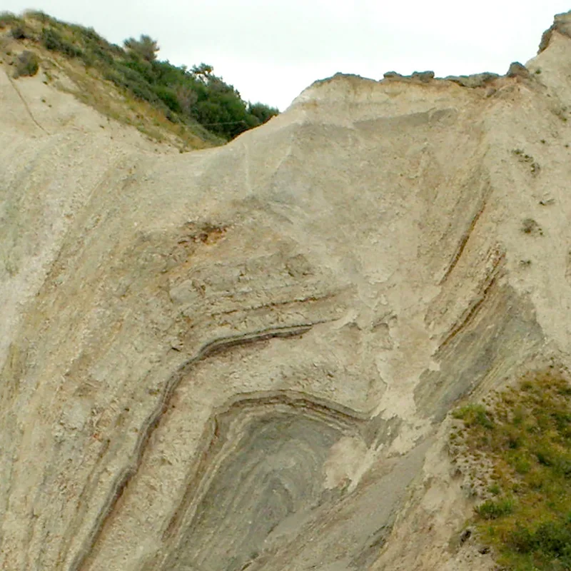 Insula Fur