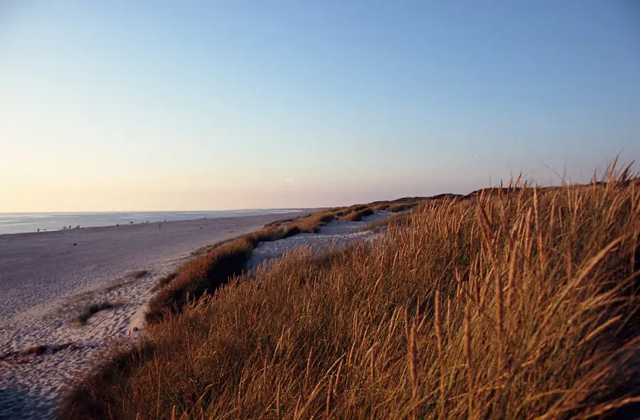 Henne Strand