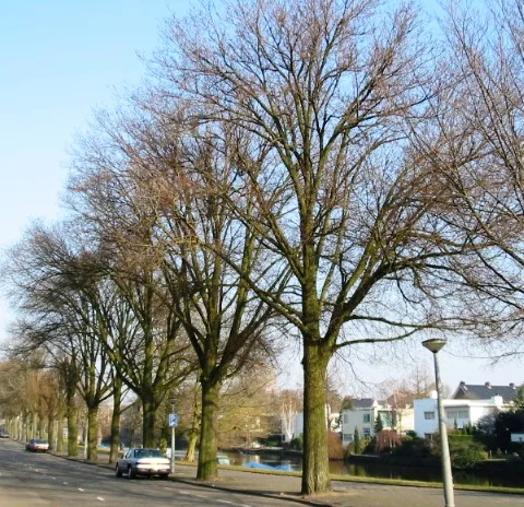 Hørsholm — Furesø (Dänemark)