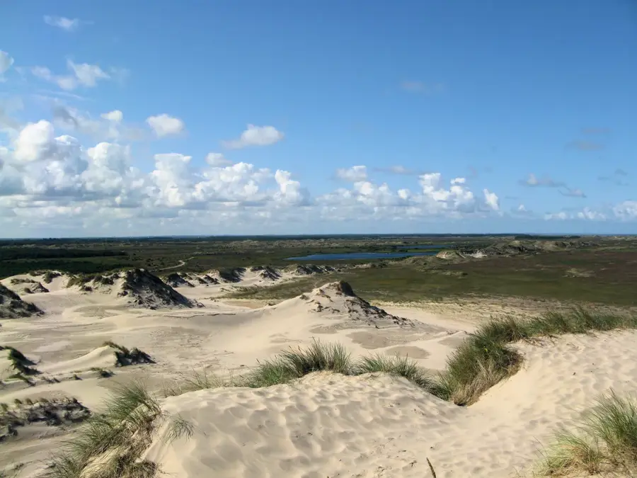 Råbjerg Mile moving dune