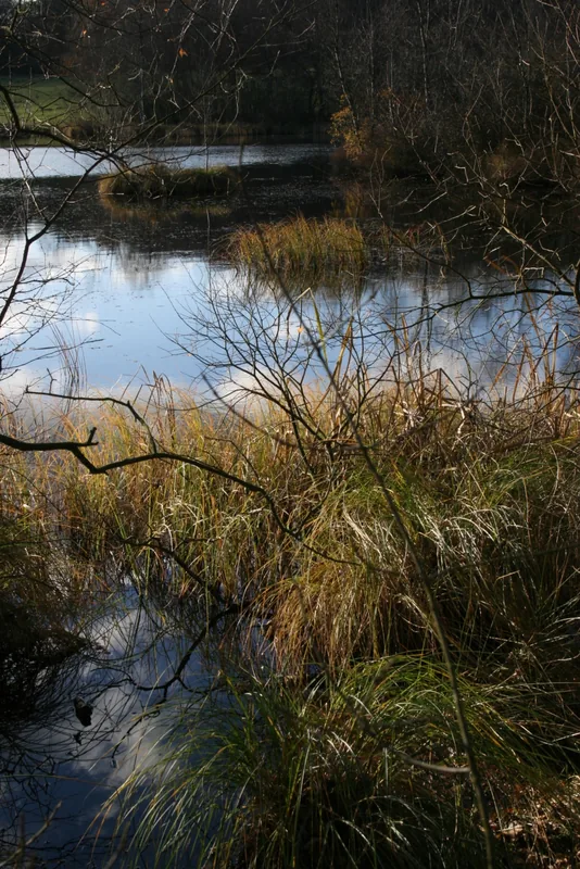 Delta râului Skjern