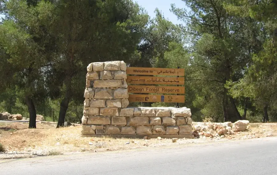 Dibbeen Forest Reserve — Kufranja (Jordan)