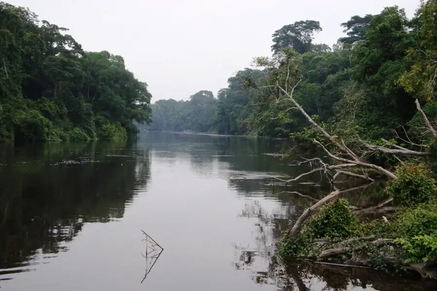 Dja River — Kribi (Cameroon)