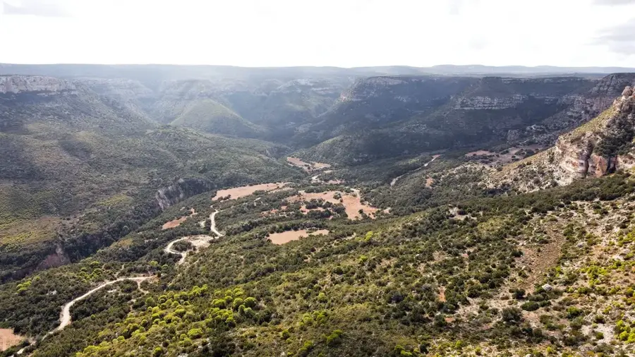 Pomicultură Jebel Akhdar — Benina (Libia)