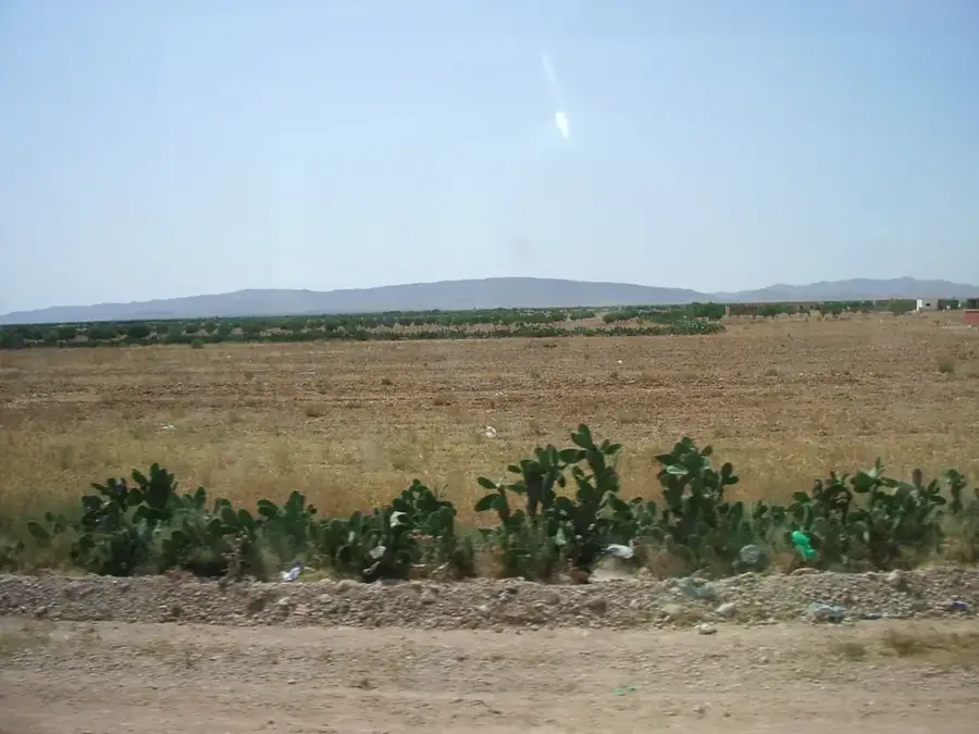 Djebel Hamra — Tabarka (Tunisia)
