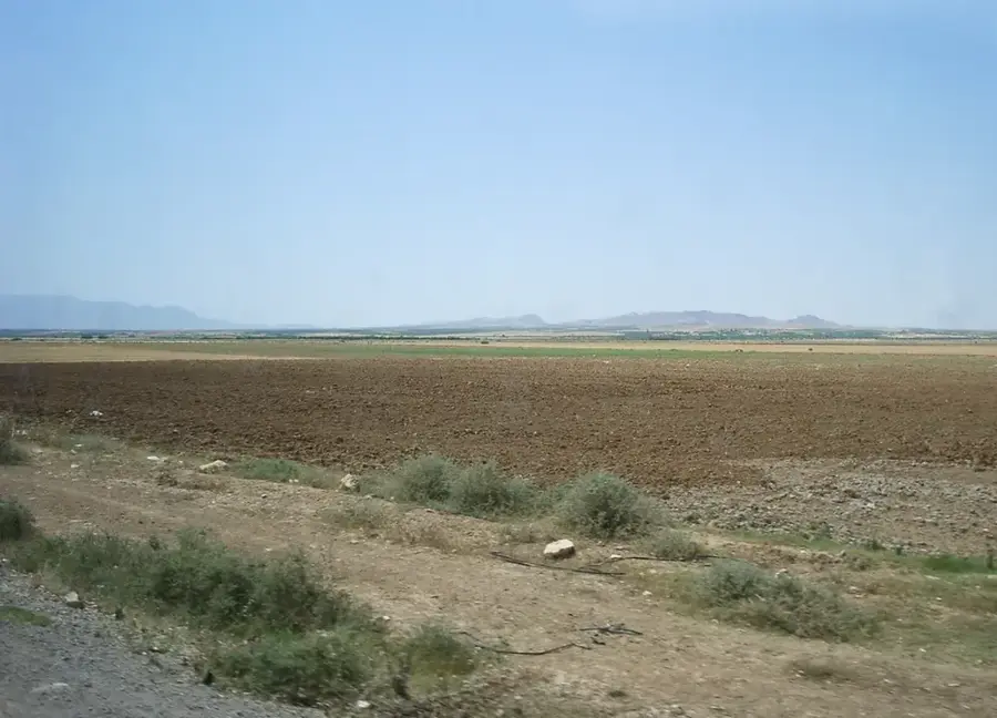 Djebel Mghila — Sbeitla (Tunisia)