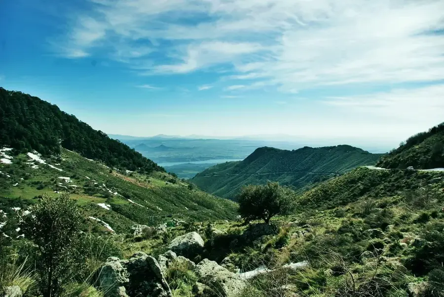 Parcul Național Djurdjura — Koobi Fora (Kenya)