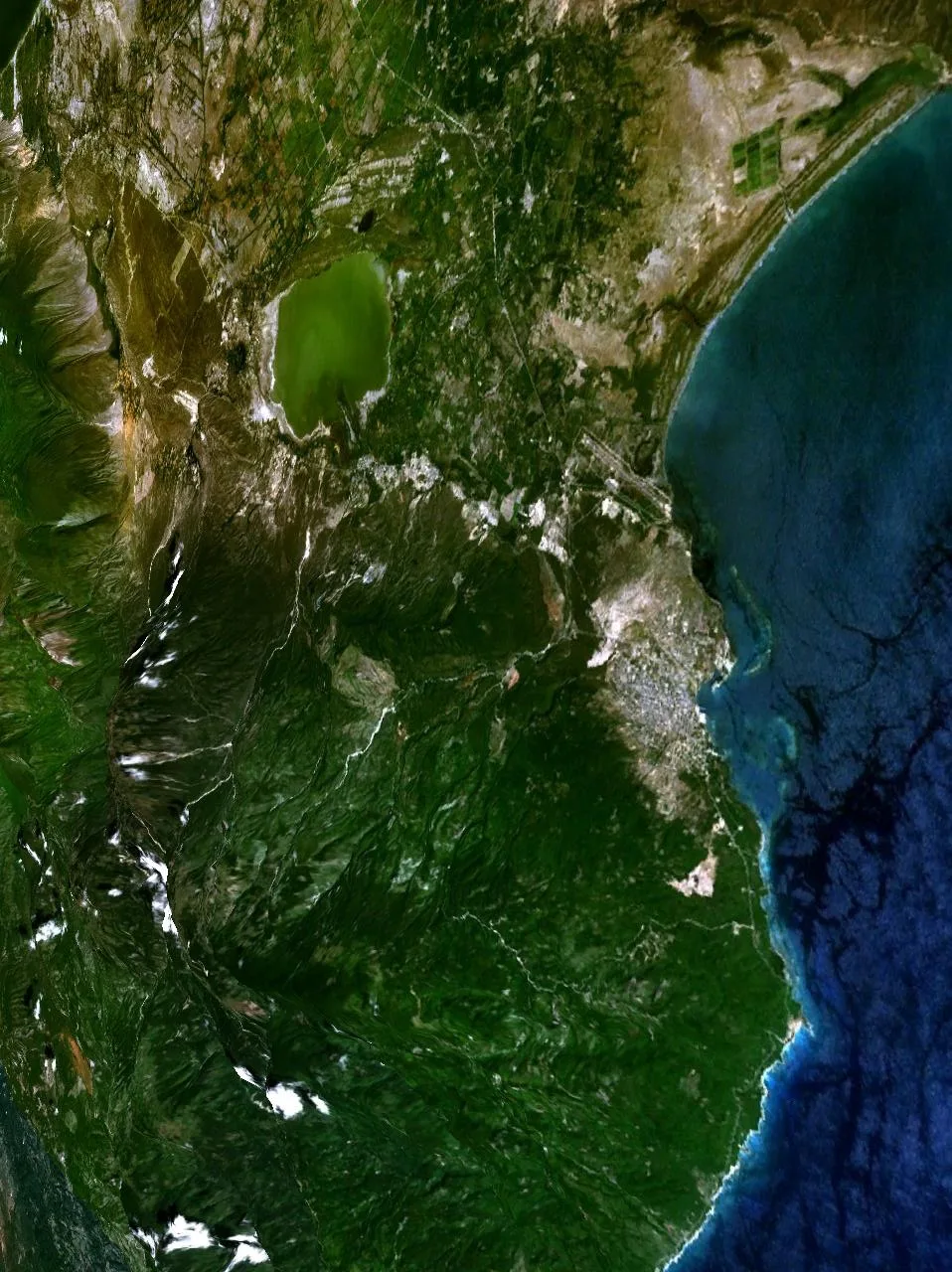 Barahona Coffee Plantations