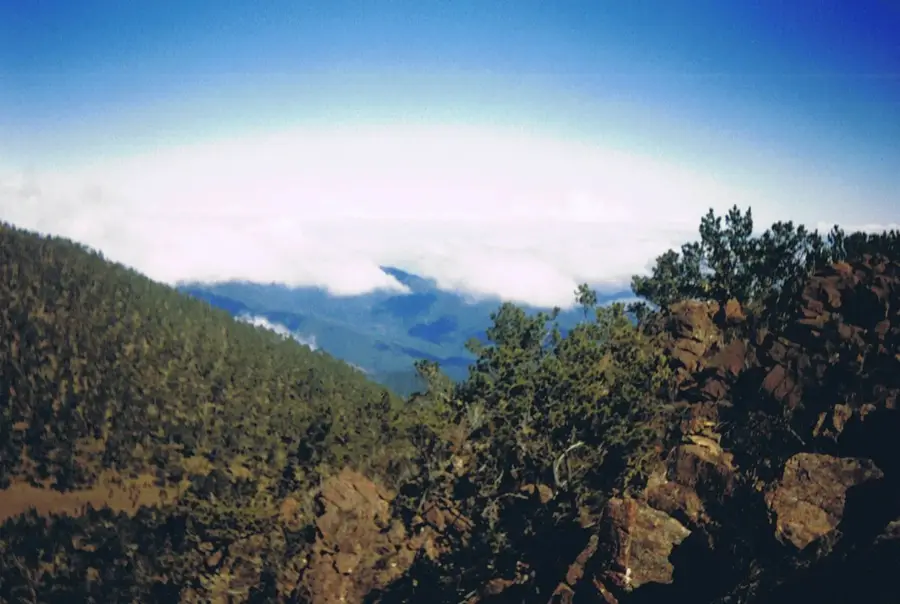 Cordillera Central — Tábara Arriba (Republica Dominicană)