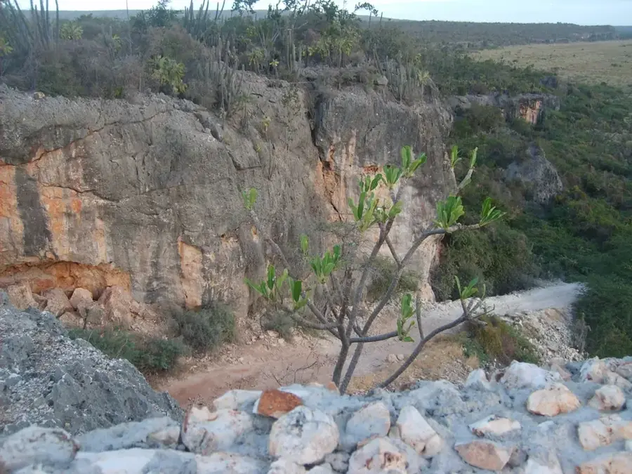 Pedernales