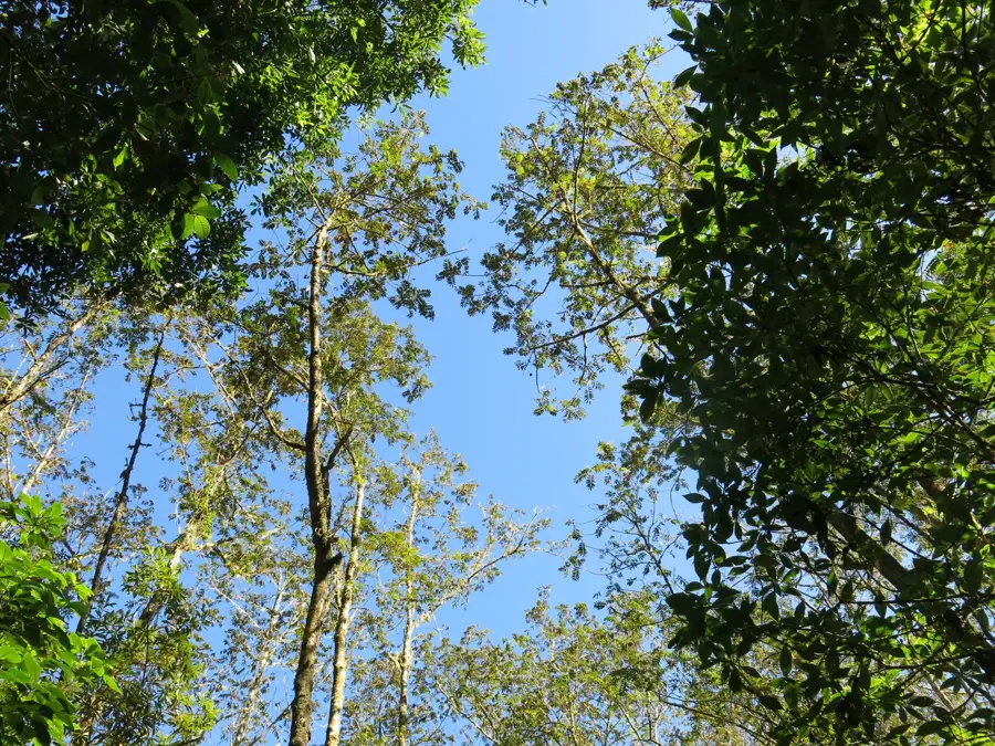 Sierra de Bahoruco — Guayabal (Dominikanische Republik)