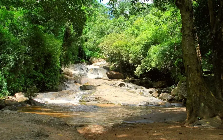 Parcul Național Doi Suthep-Pui