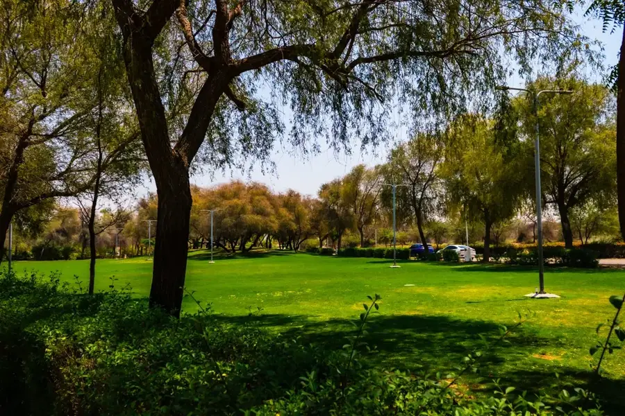 Dubai Crocodile Park