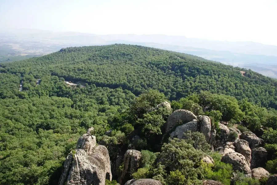 Pădurea El Feija — Hammam Bourguiba (Tunisia)