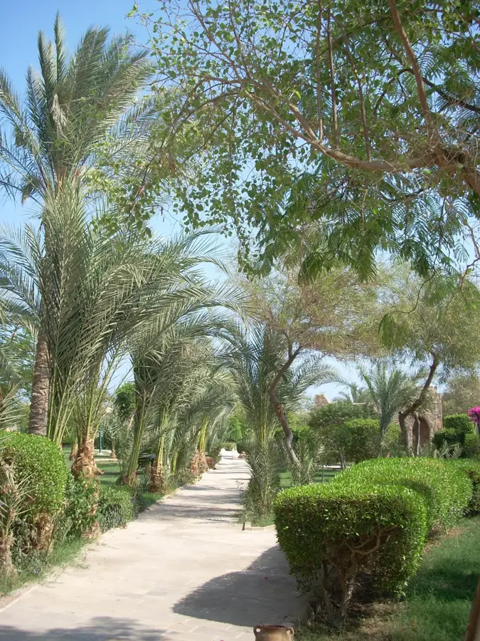 El Quseir