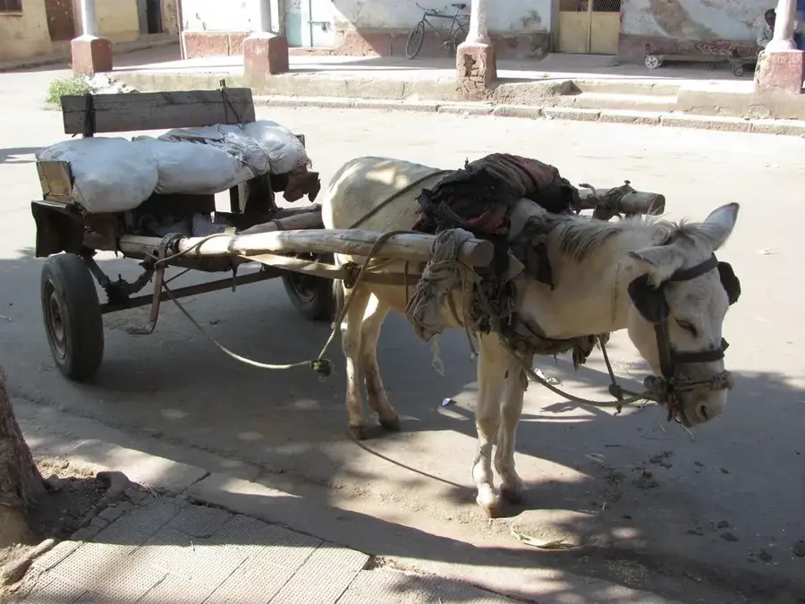 Fabrica de bere Asmara