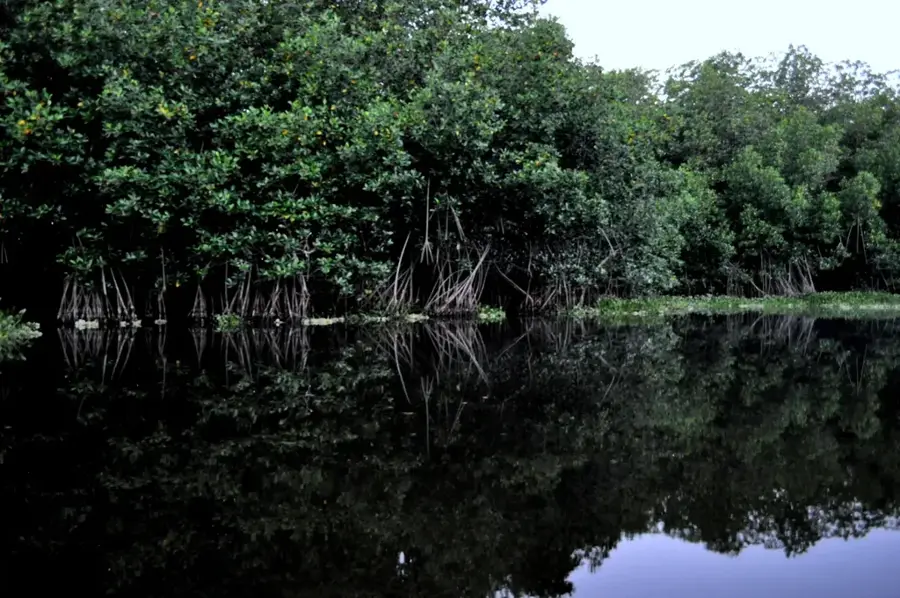 Estuarul Jaltepeque
