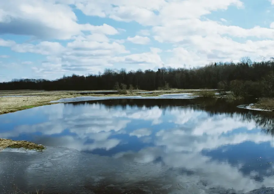 Alam-Pedja Nature Reserve — Kastre Castle (Estonia)