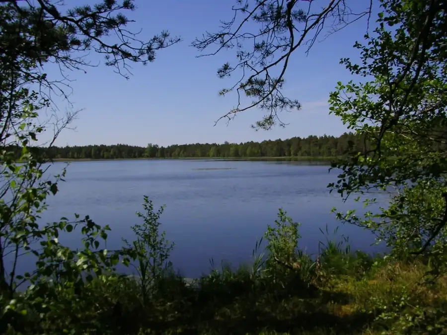 Endla Mire — Nava River (Estonia)