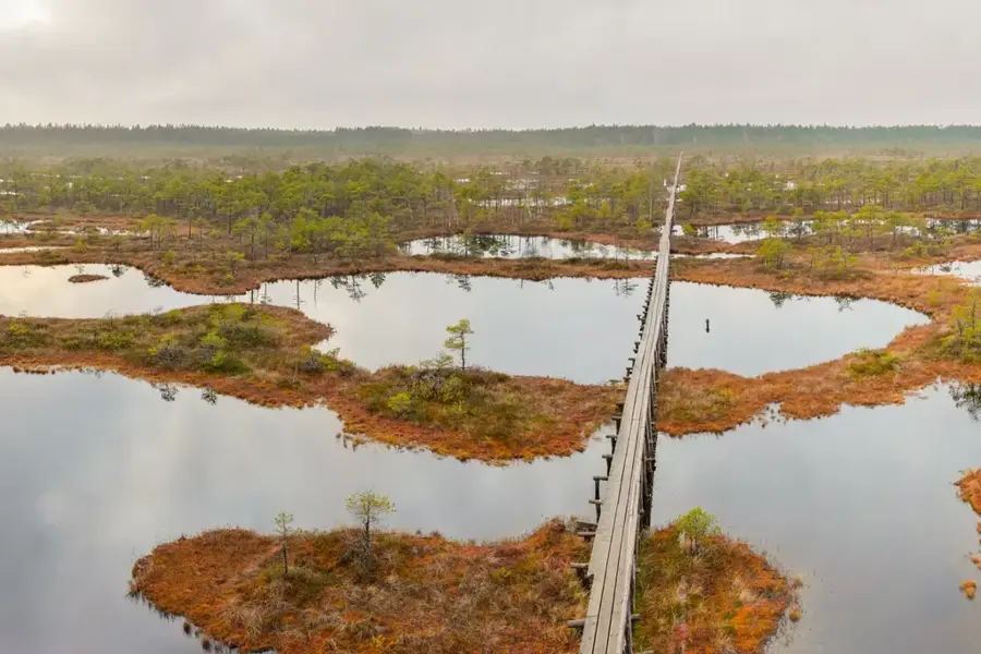 Endla Nature Reserve — Rakvere Meat Processing (Estonia)